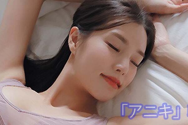 韓国アガシのエスコートアガシ サービスのご紹介システム